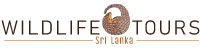 Wildlife Tours Sri Lanka Official Logo