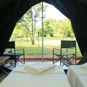 Big game tented safari camps at WIlpattu national park in Sri Lanka