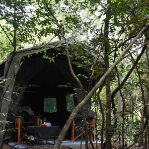 Explorer by mahoora camps at Knuckles In Sri Lanka