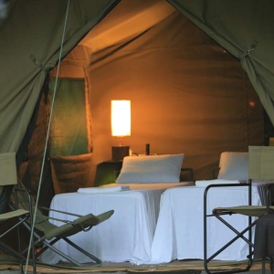 safari-camping-sri-lanka
