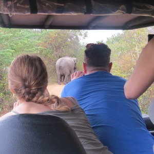 sri-lanka-safari