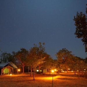 udawalawe-mahoora-campsite