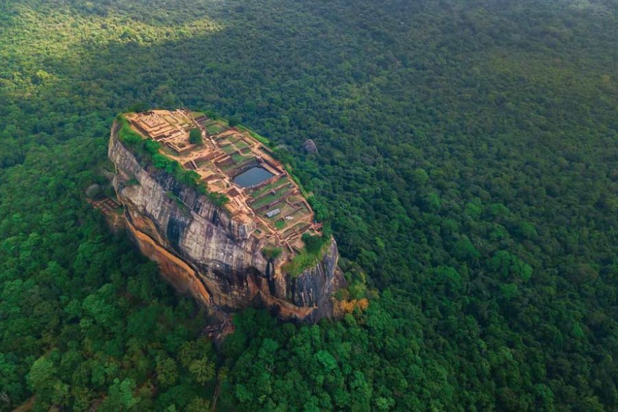 Sri Lanka: The Ultimate Escape for Brits Seeking Adventure and Tranquility - Wildlife Encounters in Sri Lanka