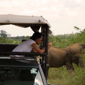 Tourist experience wih elephants during their safari at Udawalawe national park in Sri Lanka