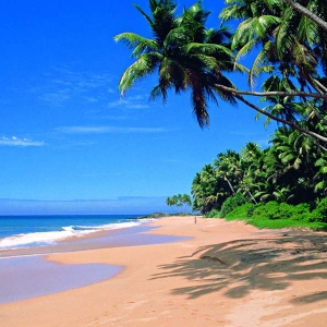 Beautiful golden beaches in Sri Lanka 