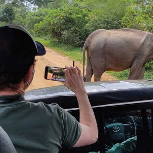 Safari jeep with an elephant at Udawalawe national park in Sri Lanka 