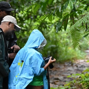 Birding with families and kids in Sinharaja rain forest in Sri Lanka 