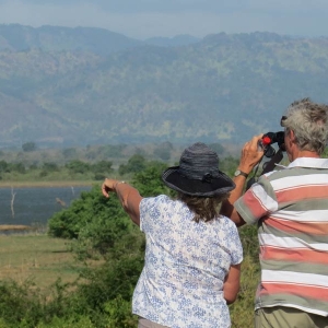 A guest searching for birds inside Udawalawe national park in Sri Lanka 