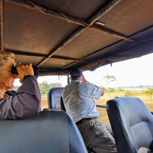 Guided jeep safari in Sri Lanka 