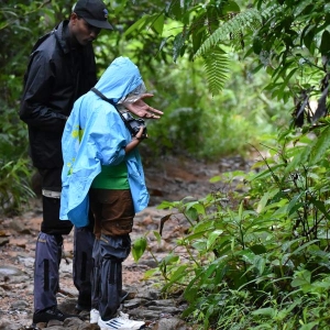 A child exploring the nature with their guide at Sinharaja Rain Forest 