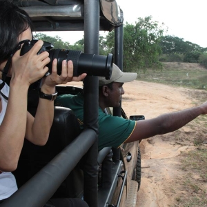 Capturing photographs during a leopard safari in Sri Lanka