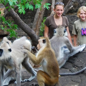 Tourists experiencing the moment with a group of monkeyseys
