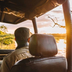 Evening jeep safari at Wilpattu national park in Sri Lanka 