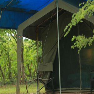 Big game tented safari camps at Wilpattu national park in Sri Lanka 