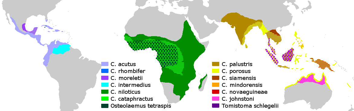 Map - crocodiles