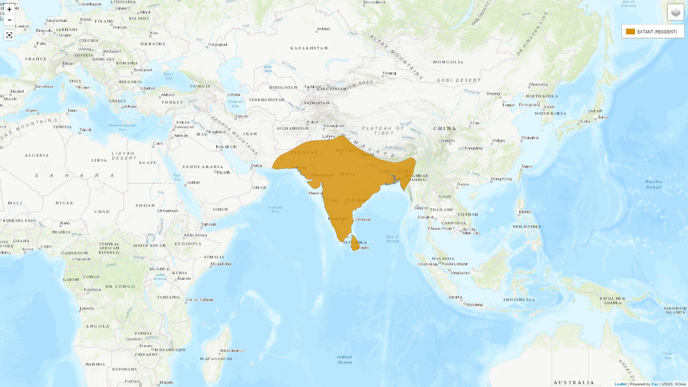 populations and distribution in detail