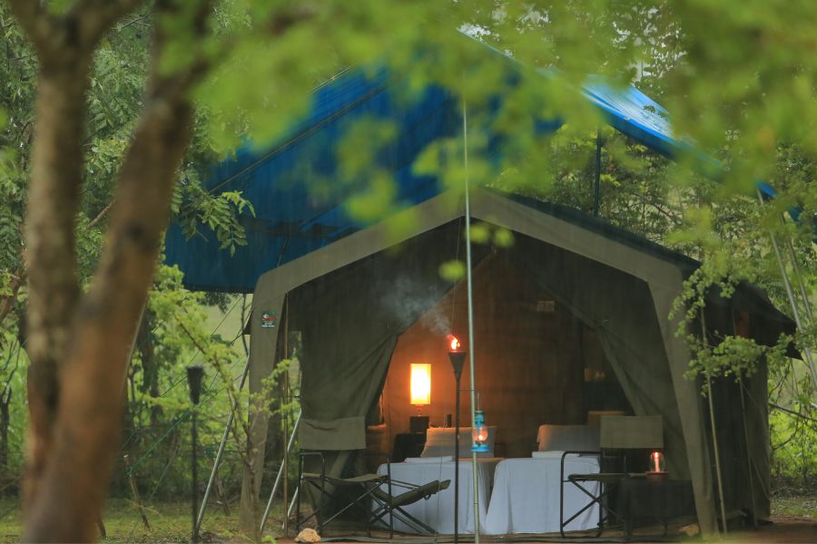 Mahoora tented safari camps at Udawalawe national park in Sri Lanka