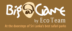 Big Game Camps Sri Lanka Official Logo