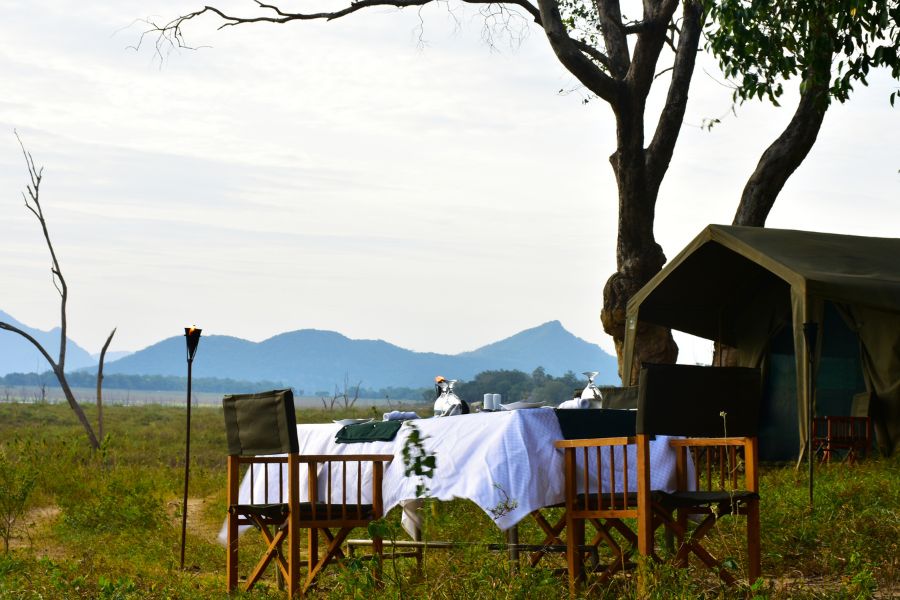 Dining experience at Gal oya national park in Sri Lanka 