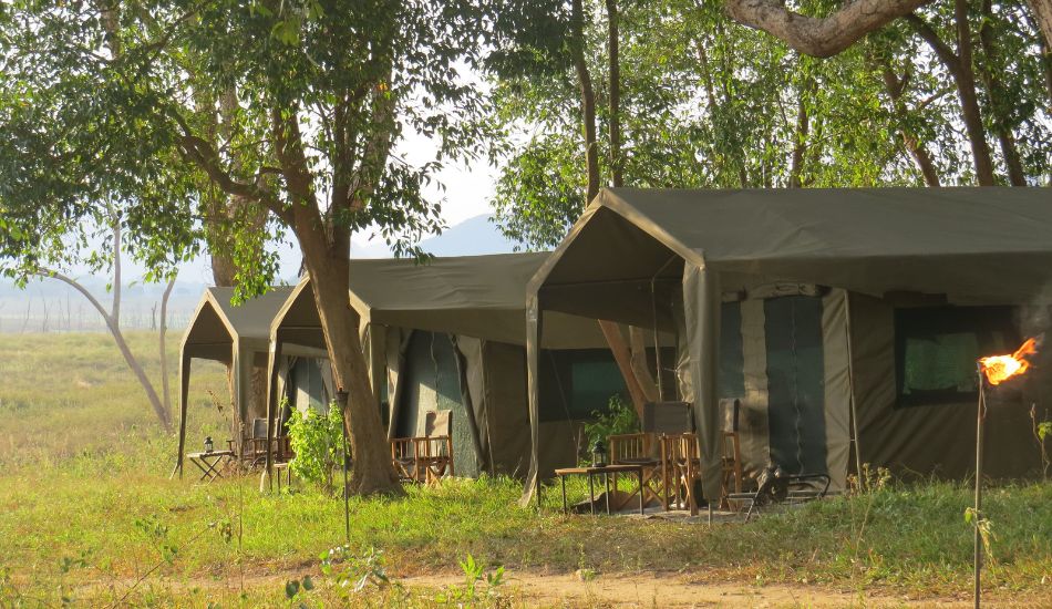 EXplorer by Mahoora camps at Gal oy national park in Sri Lanka 