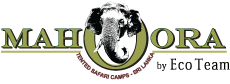 Mahoora Tented Safari Camps Official Logo