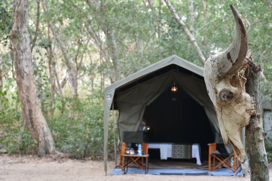 Explorer by mahoora camps KUmana in Sri Lanka