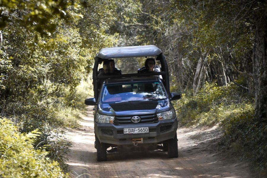 Safari jeeps at Wilpattu in Sri Lanka 