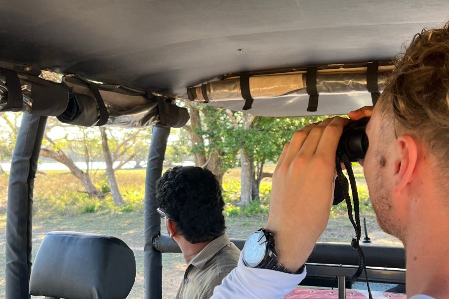 Safari experiences in Sri Lanka 