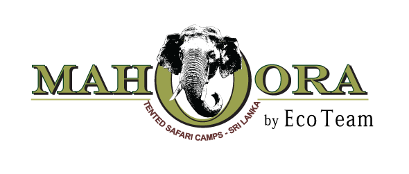 Mahoora logo